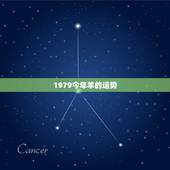 1979今年羊的运势，79年羊今年每月运势