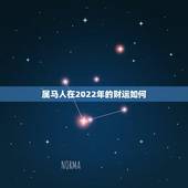属马人在2022年的财运如何，1966年属马生日正月二十三在2022财