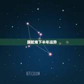 属蛇难下半年运势，属鸡今年运势2022