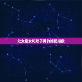 处女座女和双子男的婚配指数，男处女座和女双子座的恋爱指数