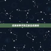 戊寅年甲子月己亥日戊辰时，癸亥日壬戍时命运如命运