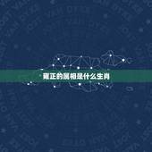 雍正的属相是什么生肖，雍正属什么生肖