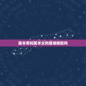属羊男和属羊女的属相婚配吗，属羊男和属羊女配吗？求大师指点