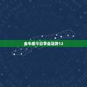 金牛座今日学业运势12.30，金牛座今日运势？