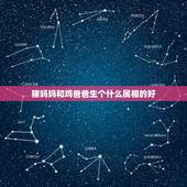 猪妈妈和鸡爸爸生个什么属相的好，1969的鸡和1983年的猪婚姻匹配