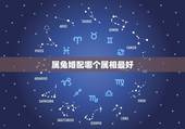 属兔婚配哪个属相最好，1999年属什么，和他相配的生肖是什么？