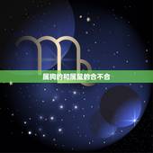 属狗的和属鼠的合不合，属狗的跟属鼠的合不合