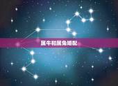 属牛和属兔婚配，属兔和属牛相配吗？能详细说说吗？