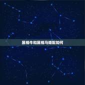 属相牛和属相马婚配如何，属马和属牛的可以在一起么？