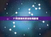 71年属猪的更佳配偶属相，71年婚配更佳对象