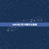 2002年7月19属什么属相，2017年7月19日什么属相