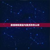 属相婚配属鼠与属虎的怎么样，属鼠和属虎的婚姻怎么样