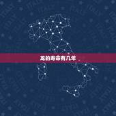 龙的寿命有几年，狗的寿命一般有几年