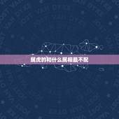 属虎的和什么属相最不配，属虎的和什么属相最配