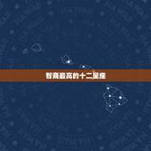 智商最高的十二星座，12星座最聪明的星座