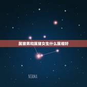 属猪男和属猪女生什么属相好，属猪男和属猪女生个属什么属相