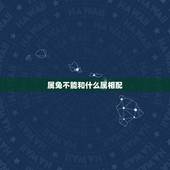 属兔不能和什么属相配，属兔的最怕和什么属相在一起