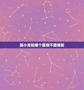 属小龙和哪个属相不能婚配，男属龙的和什么属相最配
