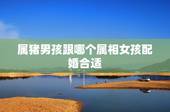 属猪男孩跟哪个属相女孩配婚合适，属猪的属相婚配表，属猪和什么属相最配