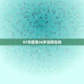 87年属兔36岁运势走向，属兔36岁本命年