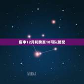 庚申12月和癸亥10可以婚配，癸亥年生人和庚申年生人能在一起吗？