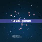 96老鼠跟84老鼠的婚配，1996年属鼠与什么属相相配
