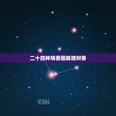 二十四种烧香图解增财香，烧香二十四香图