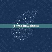 十二生肖鸡与马婚配好吗，马和鸡婚配合适吗？