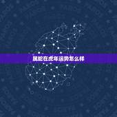 属蛇在虎年运势怎么样，属蛇女在虎年运势2022年运势