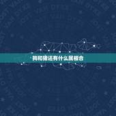 狗和猪还有什么属相合，猪和狗属相配不配