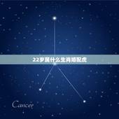 22岁属什么生肖婚配虎，22岁属什么的生肖2021