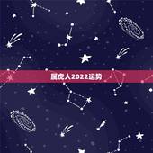 属虎人2022运势，2022运势生肖运势详解