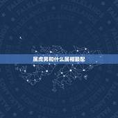 属虎男和什么属相最配，属虎男最珍惜哪种女人