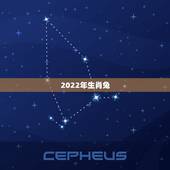 2022年生肖兔，2022年生肖猪运势完整版