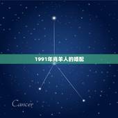 1991年肖羊人的婚配，91年属羊最佳婚配属相
