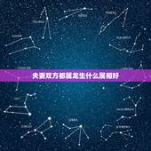 夫妻双方都属龙生什么属相好，属虎和属龙的夫妻结局