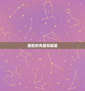 属蛇的克星和福星，属蛇和属虎谁害谁