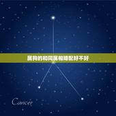 属狗的和同属相婚配好不好，属狗与狗的属相婚配表和好吗？