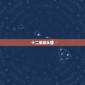 十二星座头像，十二星座暗黑头像水瓶座头像取什么名字？