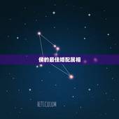 侯的最佳婚配属相，属猴的男人和什么属相最配