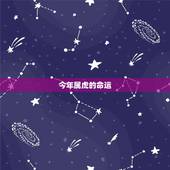 今年属虎的命运，属虎的人，本年命运？