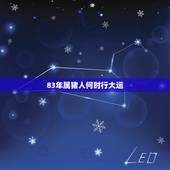 83年属猪人何时行大运，1983年属猪的人一生哪年财运最好