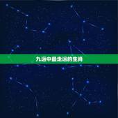 九运中最走运的生肖，时来运到指什么生肖