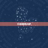 93年属鸡28岁，1993年属鸡2022 年运势