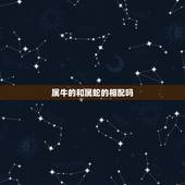 属牛的和属蛇的相配吗，属蛇的和属牛的配吗？女属蛇和男属牛配吗？