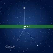 2022.7.13特吉生肖运势，2022年哪些生肖运势好今天什么生肖最
