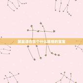 属鼠适合生个什么属相的宝宝，男女都属猪生什么属相孩子好