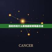 属蛇的和什么属相最配婚姻最合适，属蛇的和什么属相最配，属蛇的配什么生肖