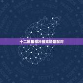 十二属相相冲相克婚姻配对，十二生肖婚姻配对表相合相克