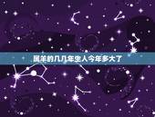 属羊的几几年生人今年多大了，属羊的今年多大了
